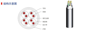 低衰减室外数字通信用对绞电缆