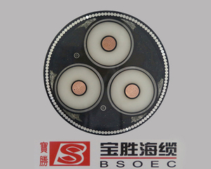 海洋工程线缆